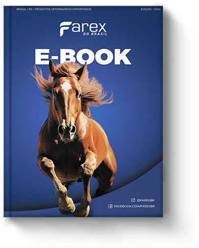 E-book