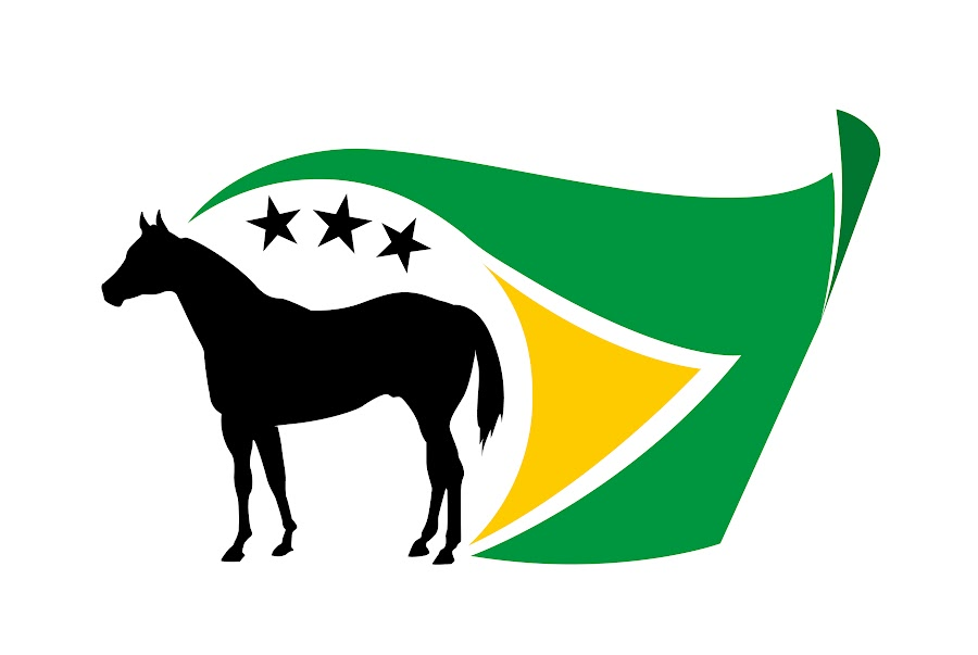 Conheça os tipos de pelagens do Quarto de Milha