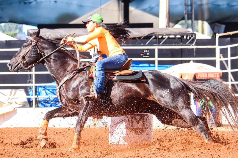 Fly - o cavalo campeão!