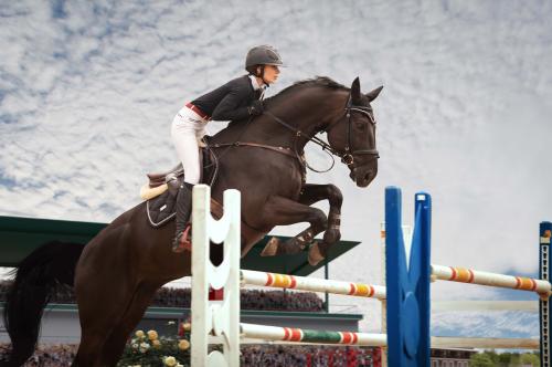 SUPLEMENTACIÓN NUTRICIONAL DEL CABALLO ATLETA PARTE 2