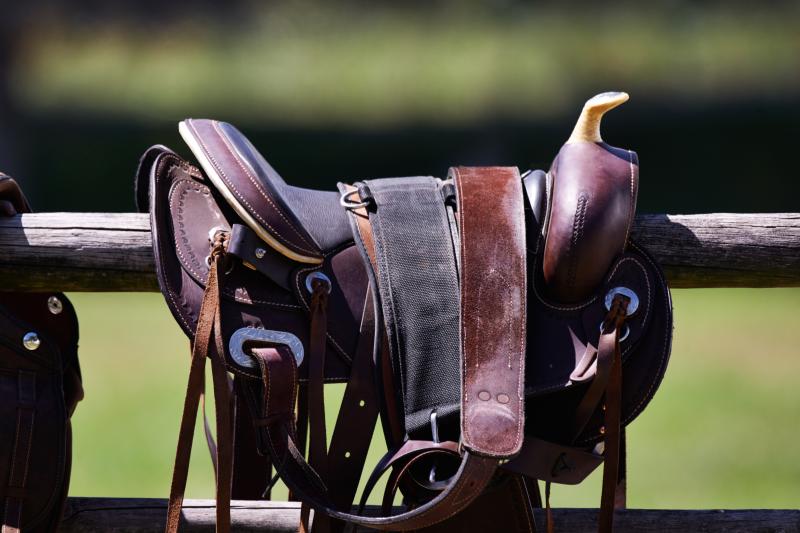 Manutenção correta da sela   