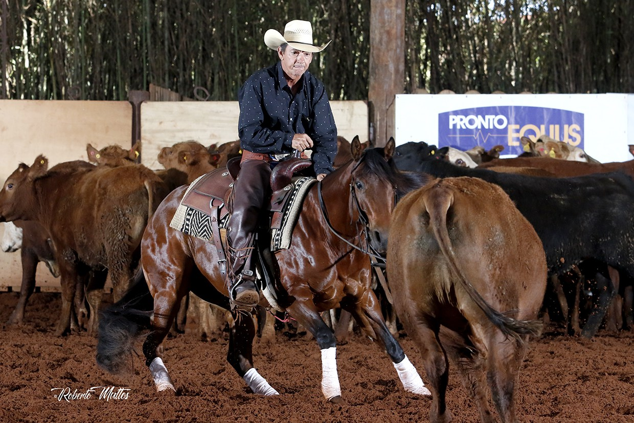 Conheça a modalidade de Apartação